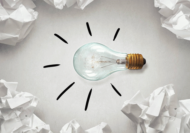 آموزش دستشویی سگ شیتزو تریر در خانه با ۱۴ نکته ساده